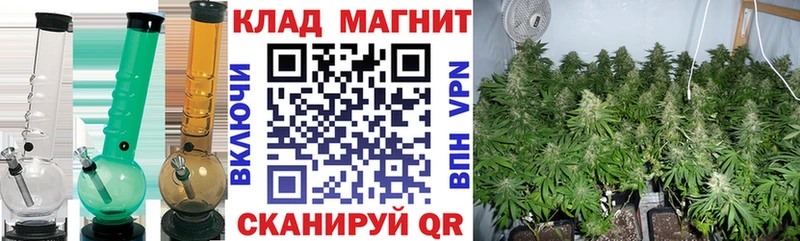 Как найти наркотики Снежногорск Гашиш  APVP  Меф мяу мяу  АМФЕТАМИН  Псилоцибиновые грибы  Конопля 