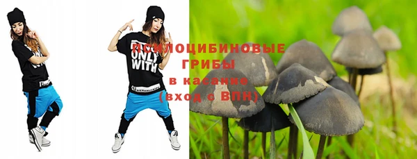 ECSTASY Ладушкин