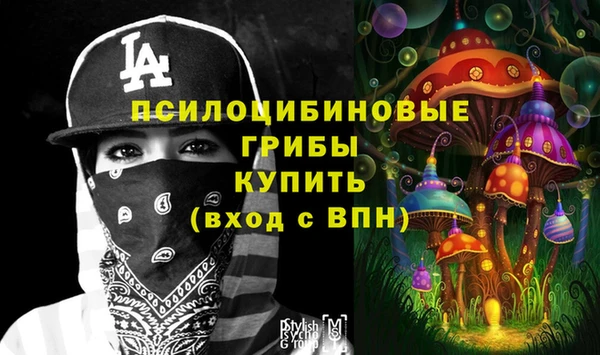 амфетамин Лабытнанги