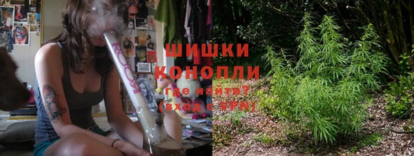 ECSTASY Ладушкин
