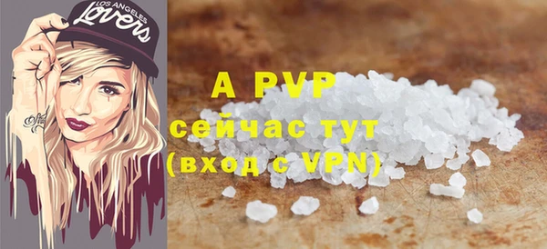 ECSTASY Ладушкин