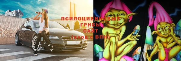 ECSTASY Ладушкин