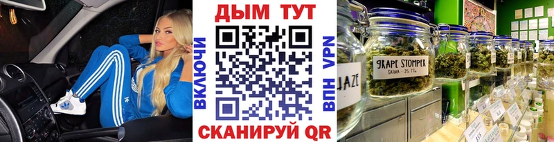 как найти наркотики  Снежногорск  МАРИХУАНА семена 